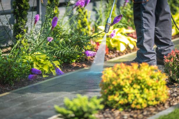 Best Pre-Holiday Cleaning  in University Of Lifornia Davis, CA